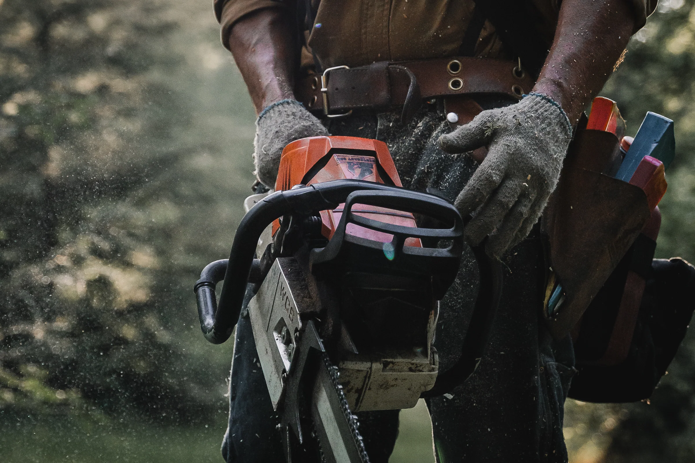 Master Every Cut Today